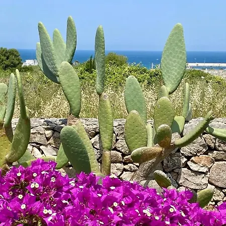 Corallo Otranto Exterior photo