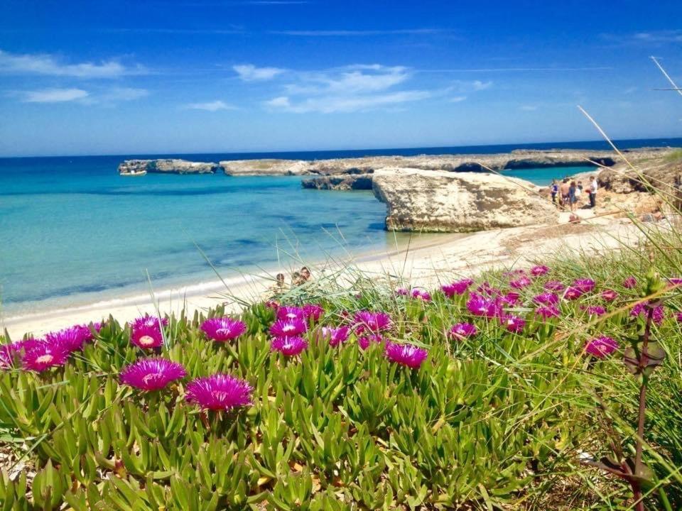 Apartment Corallo Otranto